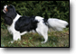 zdj�cie